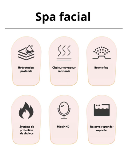 Spa vapeur visage